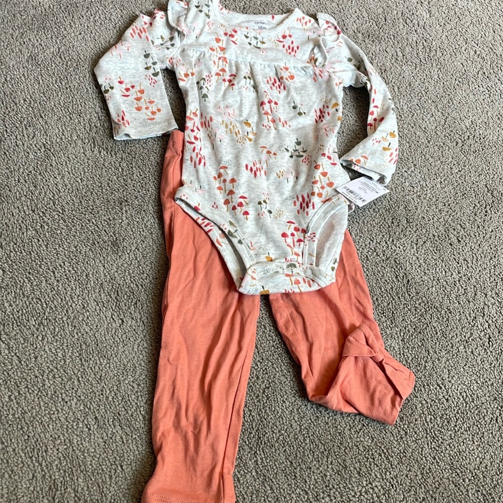Carters Baby outfit girl 18m NWT